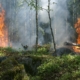 Prévention contre les feux de forêt et aires naturelles.