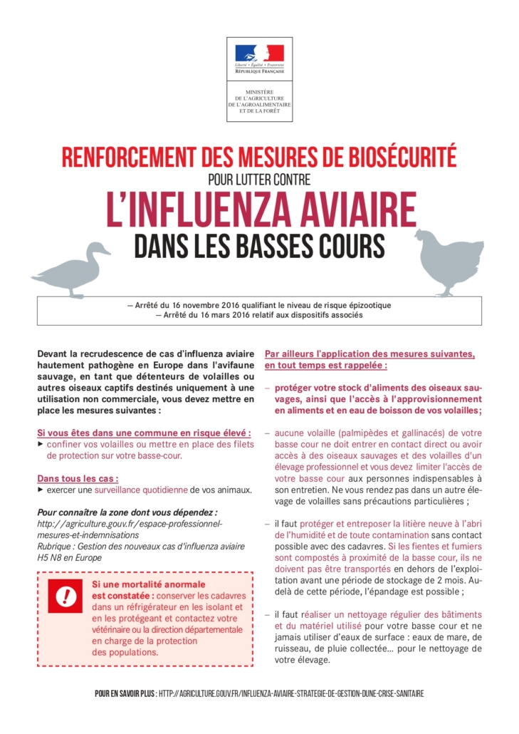 Renforcement des mesures de biosécurité pour lutter contre l'influenza aviaire dans les basses cours.
