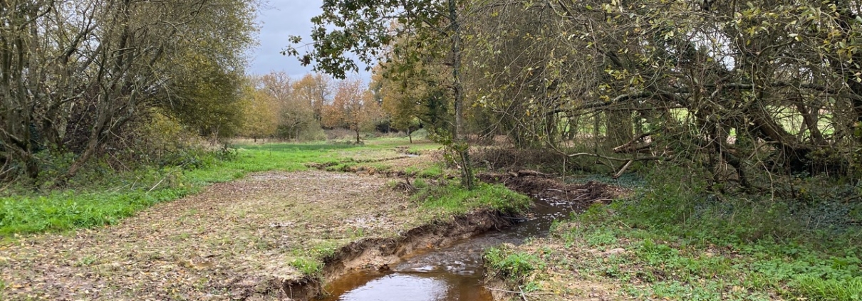 Photographie montrant le ruisseau du Fresnay après les travaux de reméandrage.