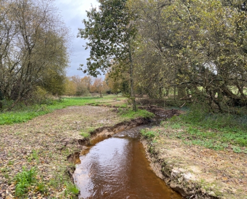 Photographie montrant le ruisseau du Fresnay après les travaux de reméandrage.