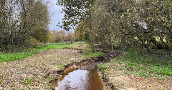 Photographie montrant le ruisseau du Fresnay après les travaux de reméandrage.