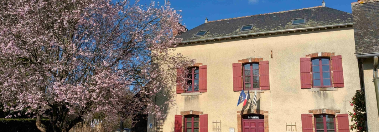 Photographie du parvis de la Mairie de Saint-Sulpice-la-Forêt et de l'arbre cerisier situé en face, prise le 4 mars 2026.