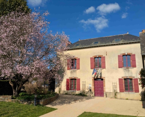 Photographie du parvis de la Mairie de Saint-Sulpice-la-Forêt et de l'arbre cerisier situé en face, prise le 4 mars 2026.